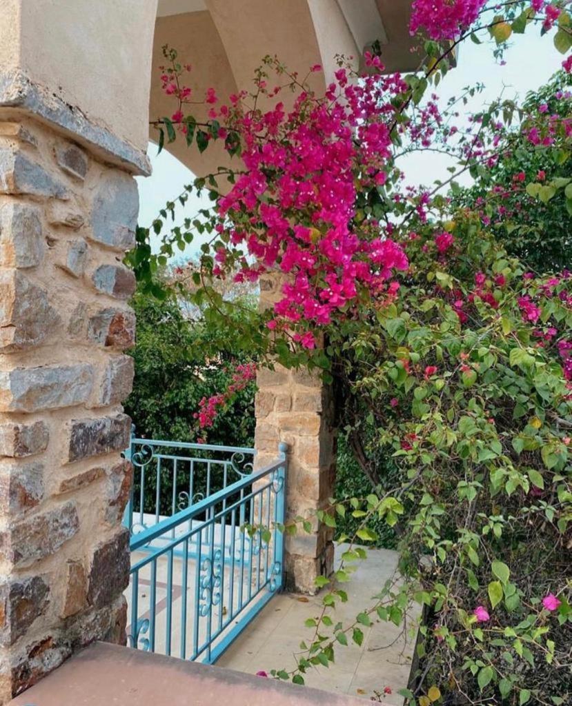 The Kipling Lodge- Nature Kalp Khilchīpur Εξωτερικό φωτογραφία